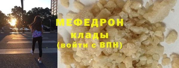 стаф Каменка