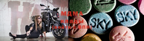 стаф Каменка