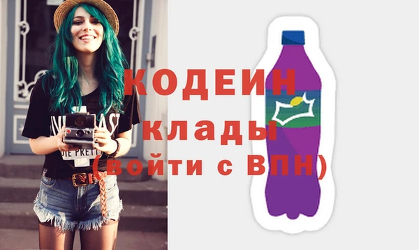 стаф Каменка