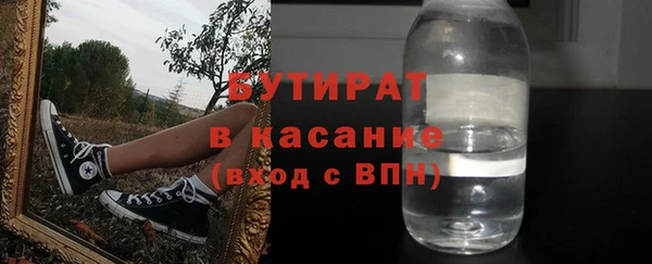 стаф Каменка