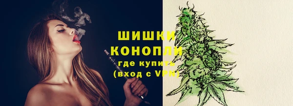 стаф Каменка