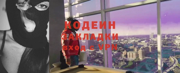 хмурый Касимов