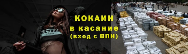 трава Каменногорск