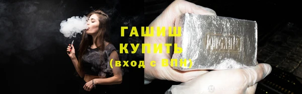 стаф Каменка