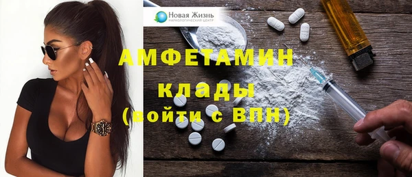 стаф Каменка