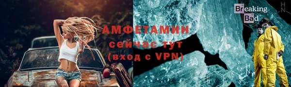 стаф Каменка